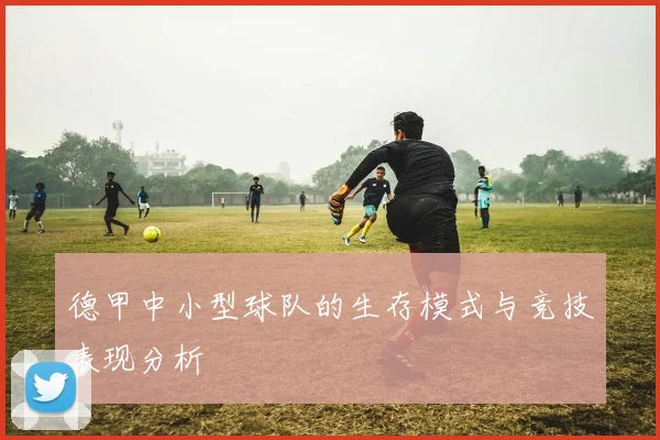 德甲中小型球队的生存模式与竞技表现分析