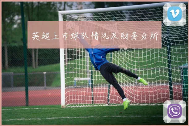 英超上市球队情况及财务分析