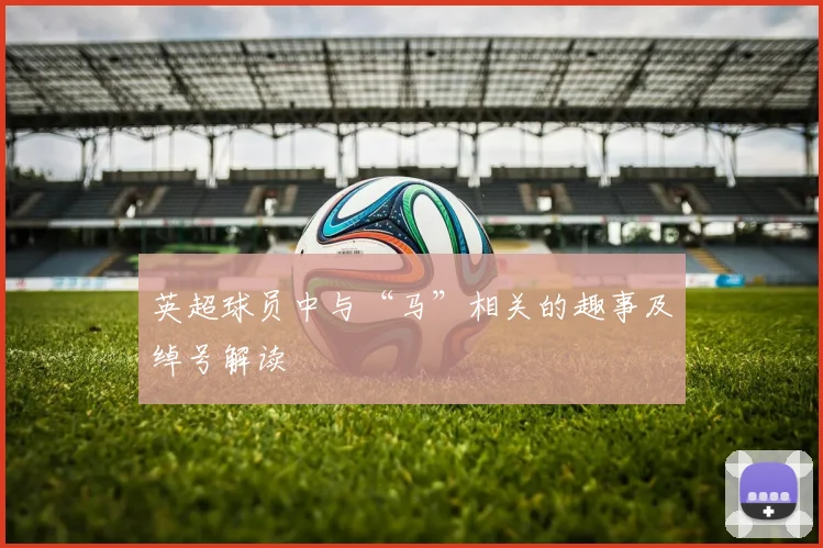 英超球员中与“马”相关的趣事及绰号解读