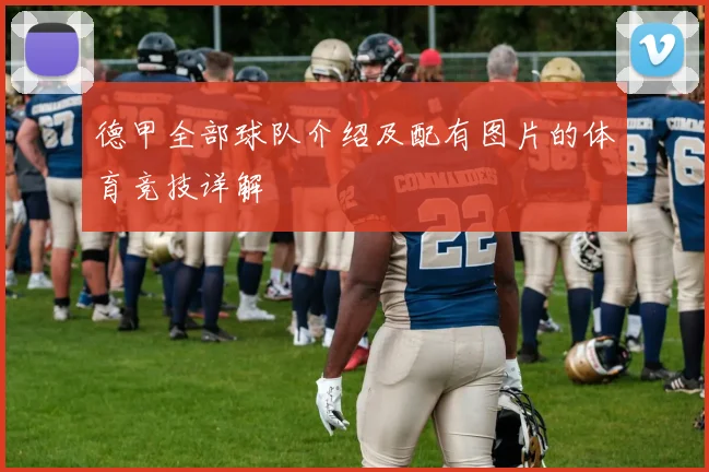 德甲全部球队介绍及配有图片的体育竞技详解