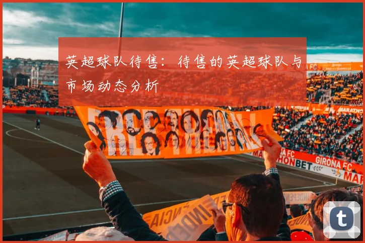 英超球队待售：待售的英超球队与市场动态分析