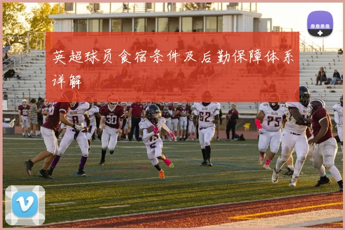 英超球员食宿条件及后勤保障体系详解